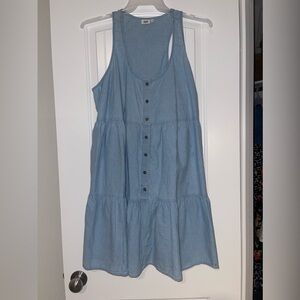 True Craft Denim Dress